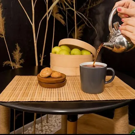 Appartement De Patrimoniu Langa Foisorul De Foc