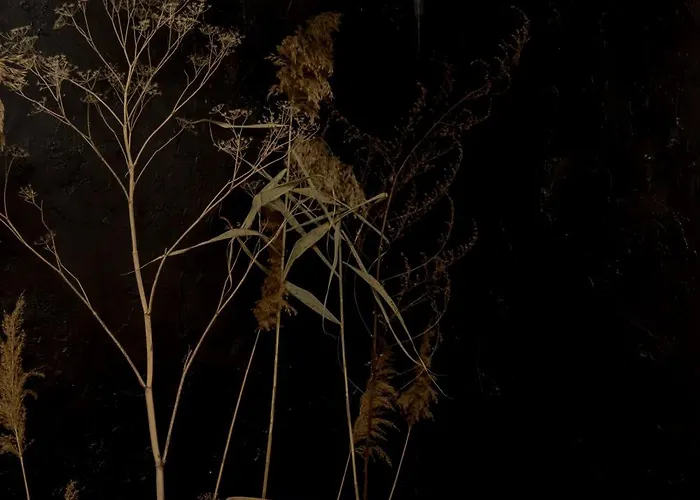 Lejlighed De Patrimoniu Langa Foisorul De Foc